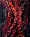 DESERT ROSE